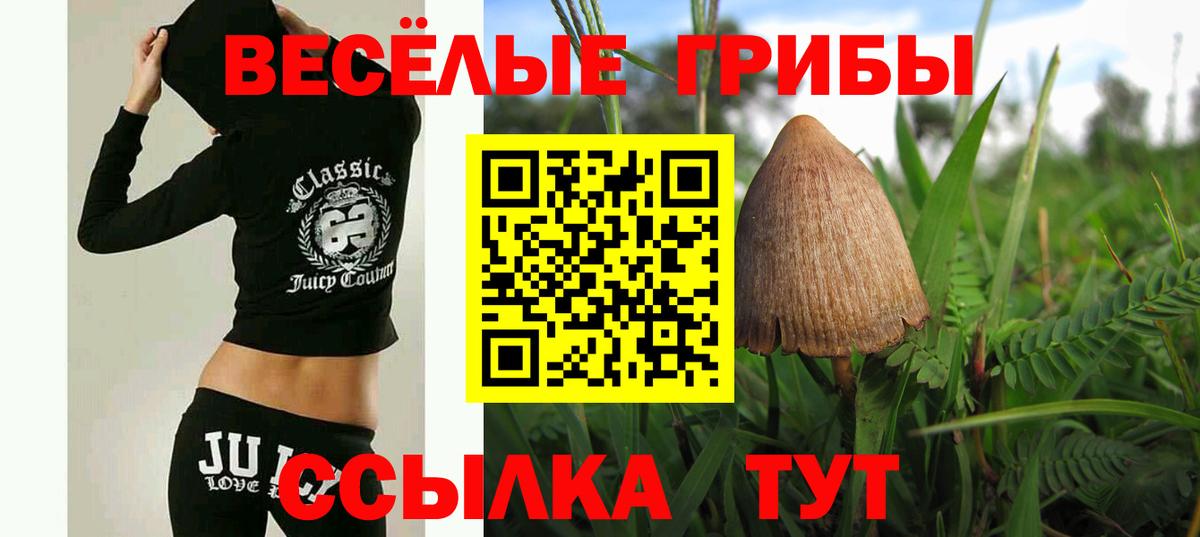 ГАШ  Вход с VPN  Лсд 25  Конопля  Мефедрон  Кириши  MDMA  Меф МЯУ МЯУ кристаллы 
