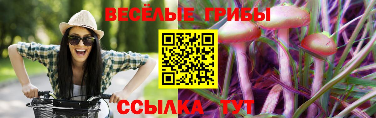 Псилоцибиновые грибы ЛСД Кириши