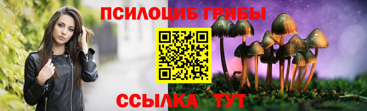 Кириши  Псилоцибиновые грибы GOLDEN TEACHER  Вход с VPN 